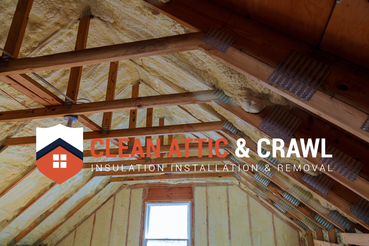 How to Budget for Attic Cleaning Costs