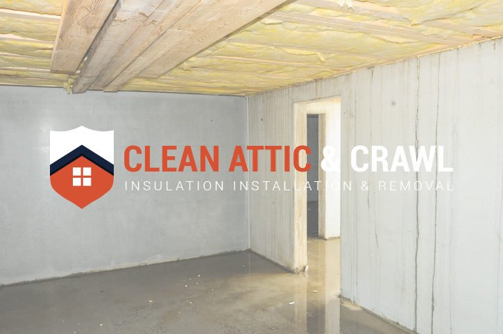 How to Fix Your Crawl Space Problems Fast