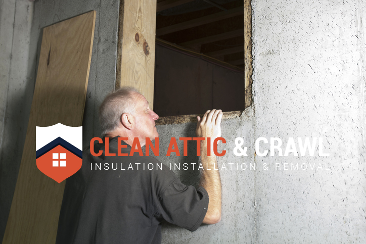 crawl space inspection